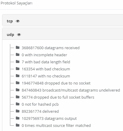 09_12_02_protokol_sayaclari_udp